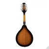 Kép 2/2 - Soundsation BMA-60E VS - Bluegrass mandolin plywood lucfenyő fedlappal
