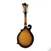 Kép 2/2 - Soundsation BMA-100ES - Bluegrass mandolin plywood lucfenyő fedlappal