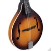 Kép 5/5 - Recording King RAM-3-TS A-style mandolin, Tobacco Burst
