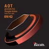 Kép 3/3 - BlackSmith AOT Acoustic Phosphor Bronze, Extra Thin Light 09-42 húr