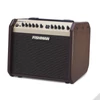 Kép 2/4 - Fishman Loudbox Mini ak.erősítő két csatorna, 60W