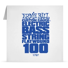 Ernie Ball Single Flatwound Bass 100