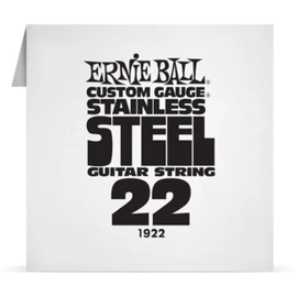 Ernie Ball Single Stainless .022