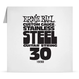 Ernie Ball Single Stainless .030
