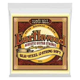 Ernie Ball Earthwood Bronze Silk&Steel 12 String Soft 9-46