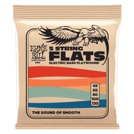 Ernie Ball Flatwound Bass 5 String 45-130