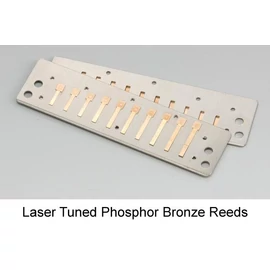 Suzuki Manji lamella, Fis