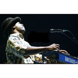 Shubb RR2 guitar steel, Robert Randolph design