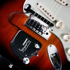 Fishman TriplePlay