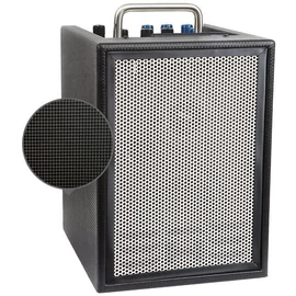 Elite Acoustics A1-4 Acoustic Amplifier Fiber Black