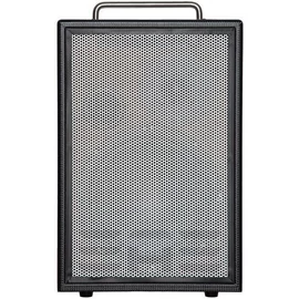 Elite Acoustics D6-8 Acoustic Amplifier Fiber Black