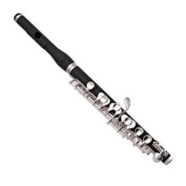 Trevor James - 5x Piccolo