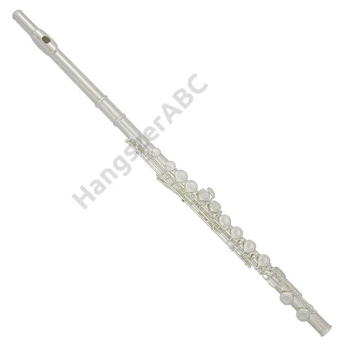 Trevor J. James 31PF-EASLR - Privilage, Fuvola, Ezüst szájrész (Zárt)