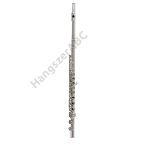 Trevor James 3041ROEASLRW 10x Alapmodell fuvola, ezüst szájrész, nyitott