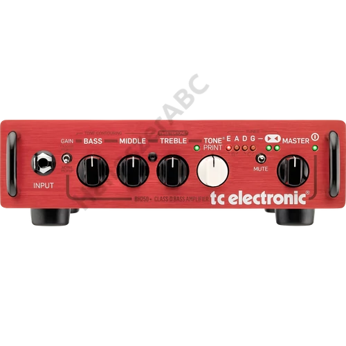 TC Electronic BH250 basszus erősítő