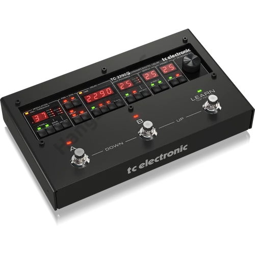 TC Electronic 2290 P, Dinamikus digitális delay pedál