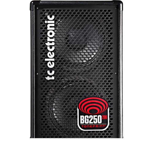 TC Electronic BG250 208 basszuskombó