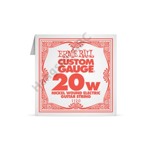 Ernie Ball Single Nickel Wound .020