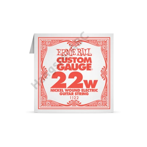 Ernie Ball Single Nickel Wound .022