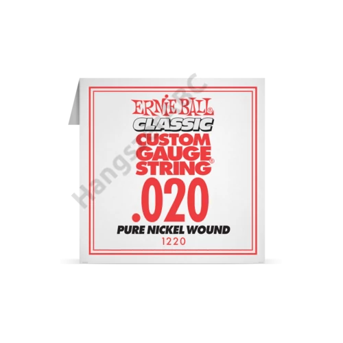 Ernie Ball Single Pure Nickel .020