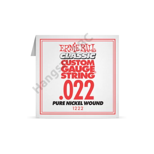 Ernie Ball Single Pure Nickel .022