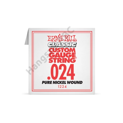 Ernie Ball Single Pure Nickel .024