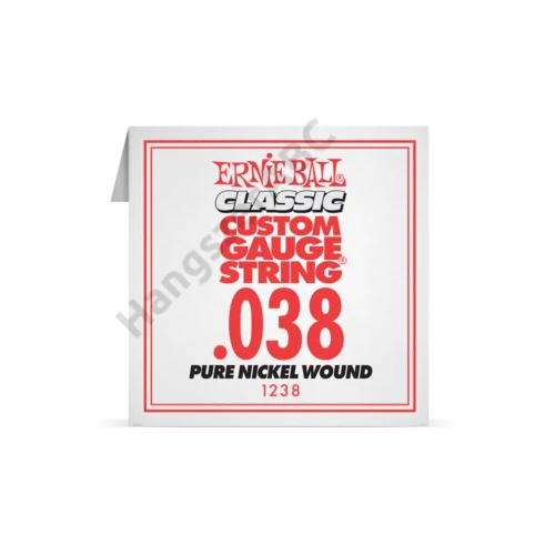 Ernie Ball Single Pure Nickel .038