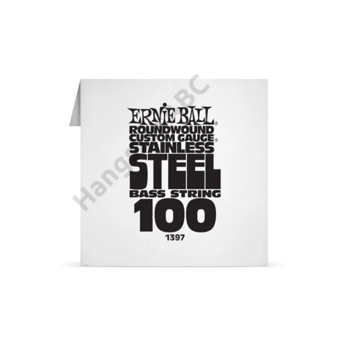 Ernie Ball Single Stainless Bass 100