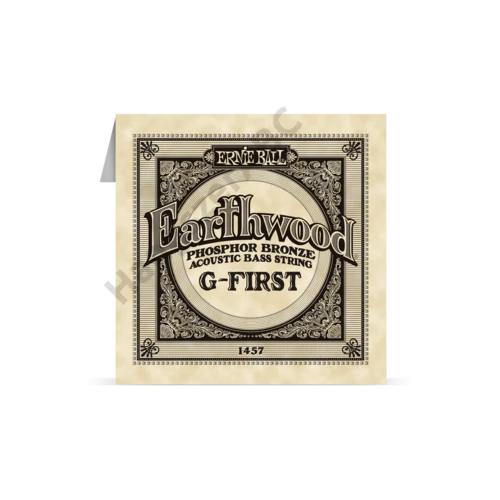 Ernie Ball Earthwood Bass Single 045