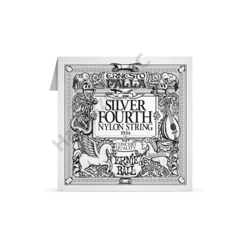 Ernie Ball Classical Single Silver D4