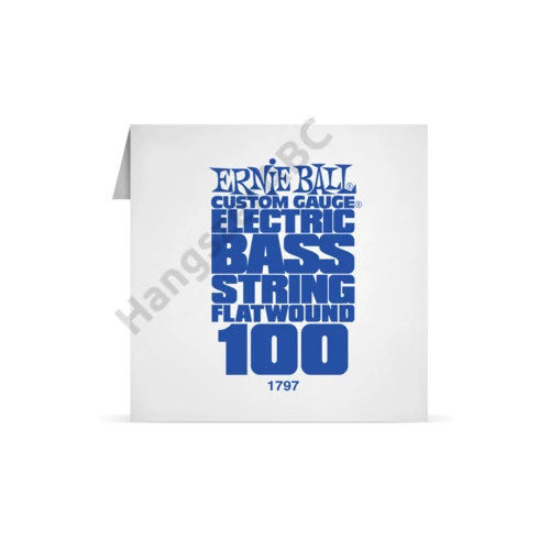Ernie Ball Single Flatwound Bass 100