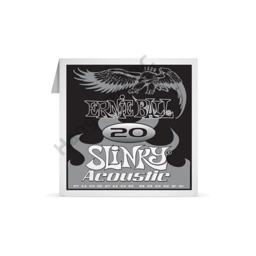 Ernie Ball Phosphor Bronze Single 020