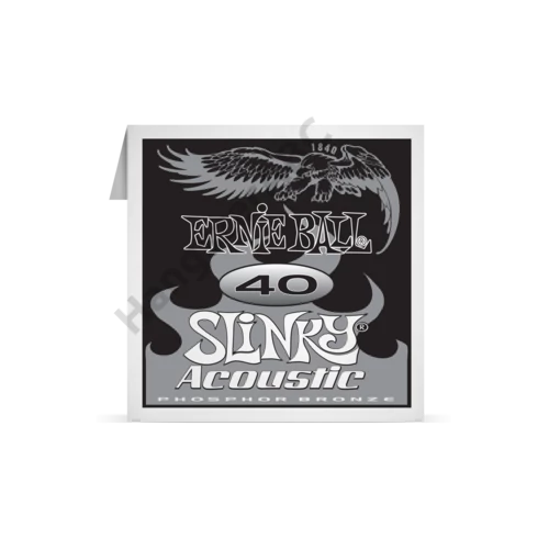 Ernie Ball Phosphor Bronze Single 040