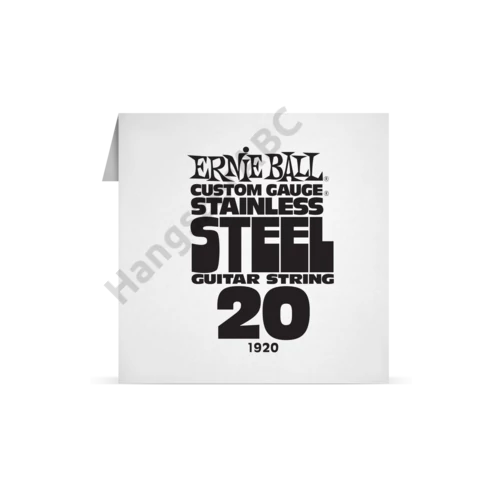 Ernie Ball Single Stainless .020