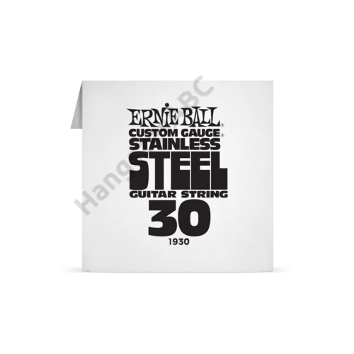 Ernie Ball Single Stainless .030