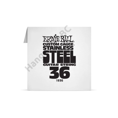 Ernie Ball Single Stainless .036
