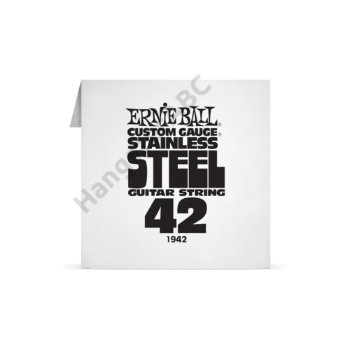 Ernie Ball Single Stainless .042