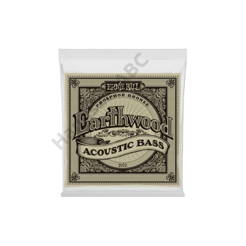 Ernie Ball Earthwood Acoustic Bass 45-95