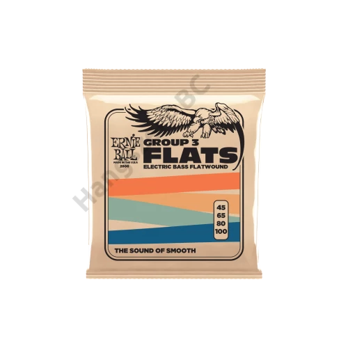 Ernie Ball Flatwound Bass Group III 45-100