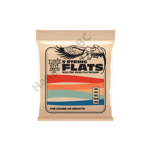 Ernie Ball Flatwound Bass 5 String 45-130