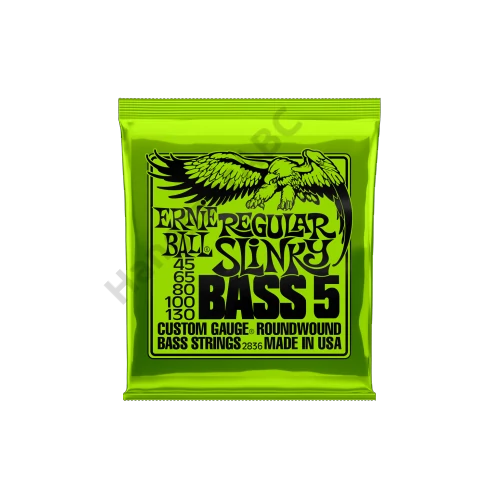 Ernie Ball Nickel Wound Regular Slinky Bass 5 String 45-130