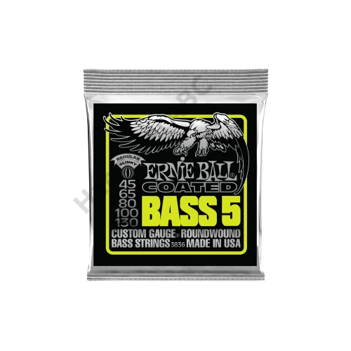 Ernie Ball Coated 5 String Slinky Bass 45-130