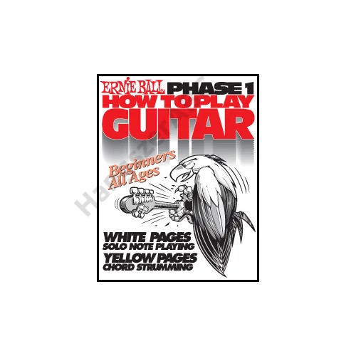 Ernie Ball How To Play Guitar 1