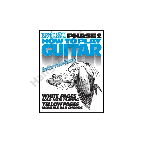 Ernie Ball How To Play Guitar 2