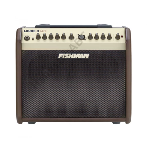 Fishman Loudbox Mini ak.erősítő két csatorna, 60W