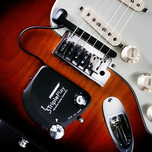 Fishman TriplePlay