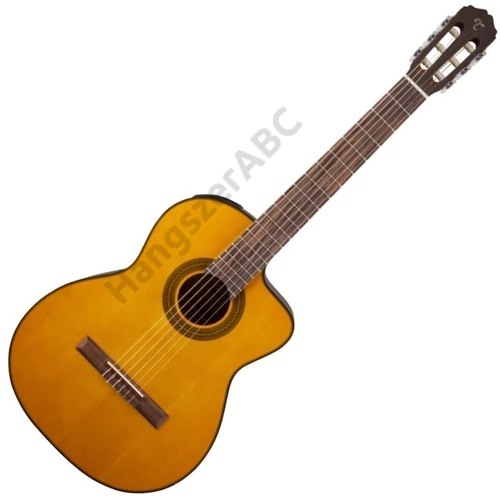 Takamine GC1CE-NAT