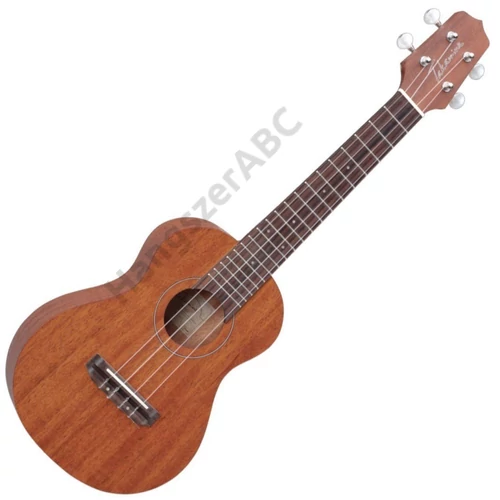 Takamine GUS1