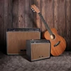 Kép 5/5 - SOUNDSATION WINDMILL-60 - Akusztikus gitárkombó  60W