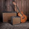 Kép 5/5 - SOUNDSATION WINDMILL-60 - Akusztikus gitárkombó  60W